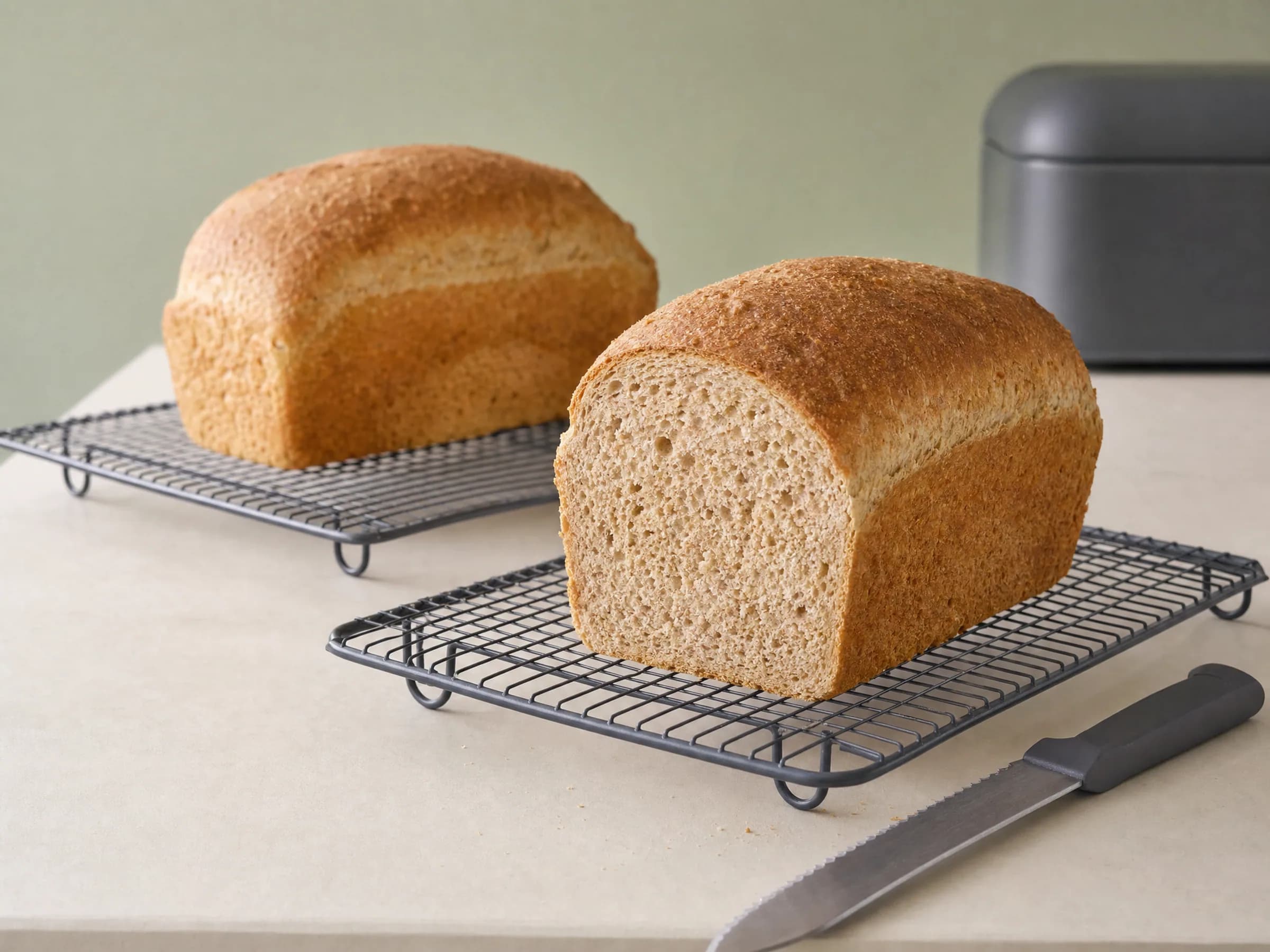 Dinkelbrot mit Trockenhefe aus der Kastenform Rezeptfoto Angeschnittenes Dinkelbrot aus der Kastenform auf einem Kuchengitter
