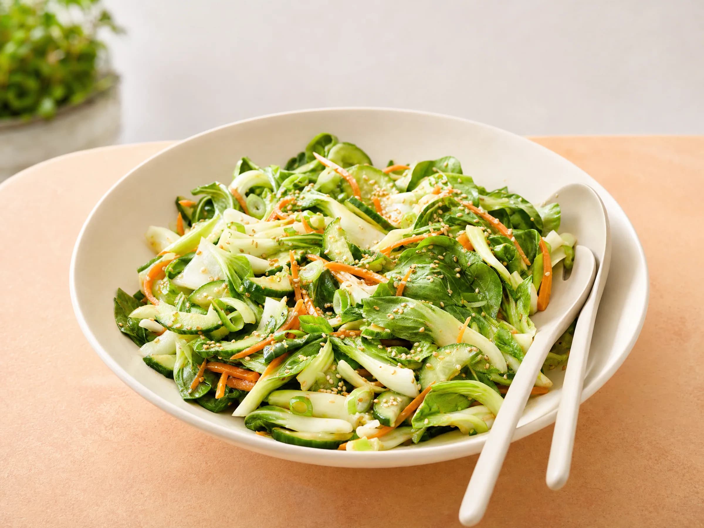 Pak-Choi-Salat mit Karotte, Gurke und Sesam-Dressing Rezeptfoto Pak-Choi-Salat mit Karotte, Gurke und Sesam-Dressing fertig angerichtet